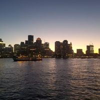 Night Cruises