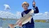 Sunset shark fishing charter was excellent