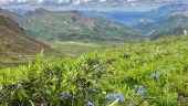 A hike to remember 