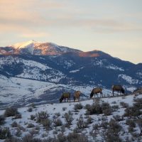 Holiday & Seasonal Tours