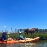 Boat Rentals