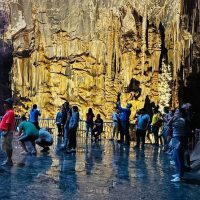 Half-day Tours