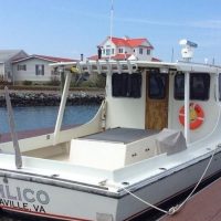 Boat Tours