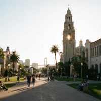 Archaeology Tours