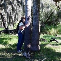 Walking Tours