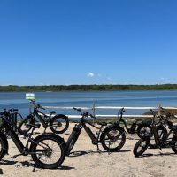 Private & Custom Tours