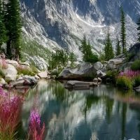 Bus & Minivan Tours