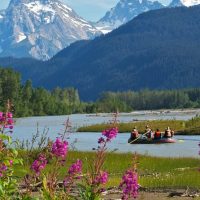 Cruises, Sailing & Water Tours