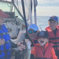 Dolphin & Whale Watching