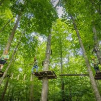 Obstacle Courses