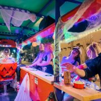 Holiday & Seasonal Tours