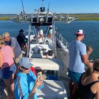 Dolphin & Whale Watching