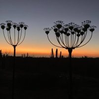 Literary, Art & Music Tours
